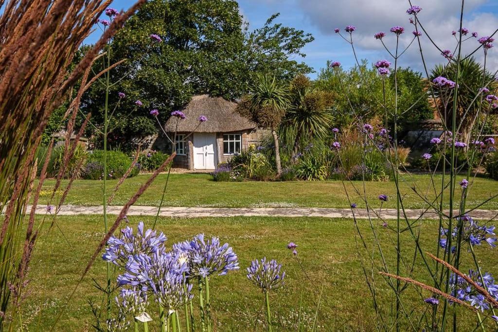 The Beach House-Devon- On The Beach- Sleeps 20 Villa Exmouth Exterior photo
